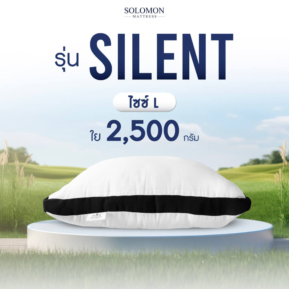 หมอนหนุนสุขภาพ SIZE L SOLOMON ใย 2,500 คุณภาพพรีเมียม รุ่น SILENT_8